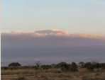 le Killimandjaro depuis Amboseli 
