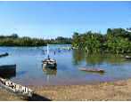 nord de Mombasa : la mangrove
