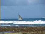 Sud de Mombasa : pirogue sur l'oc�an indien